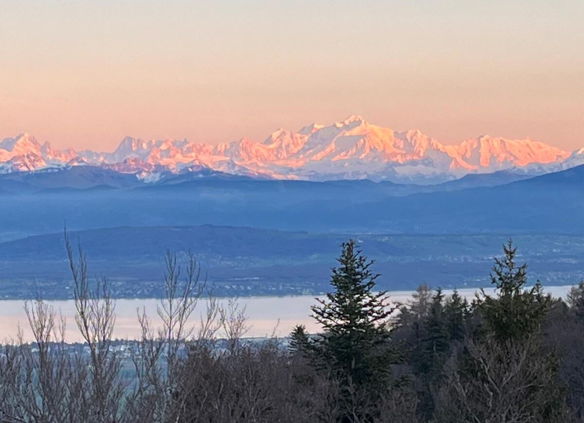 A vendre: 2.5 Pièces, 2 eme étage